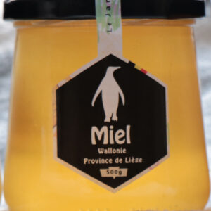 Miel de printemps: Anthisne (Belgique)