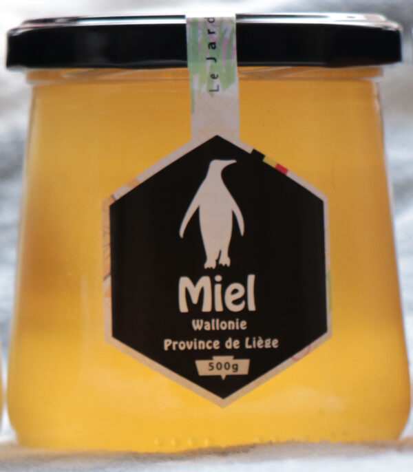 Miel de printemps: Anthisne (Belgique)